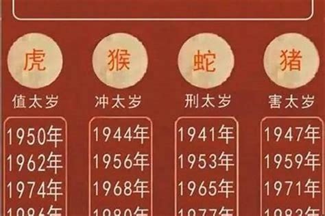 1982什么年|1982是什么年